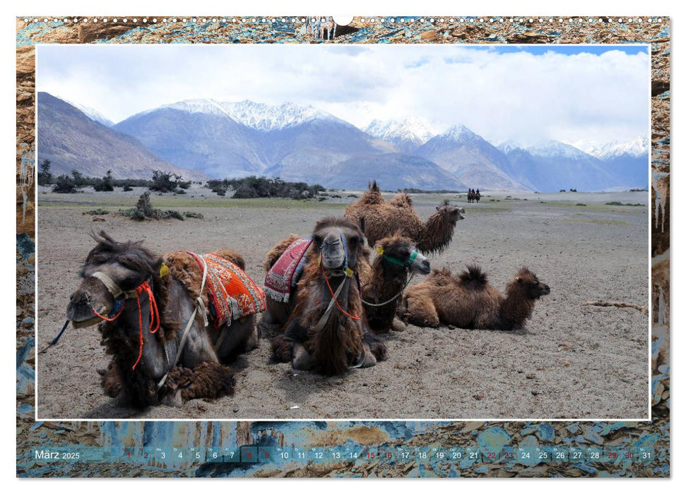 Ladakh – KleinTibet (CALVENDO Premium Wandkalender 2025)