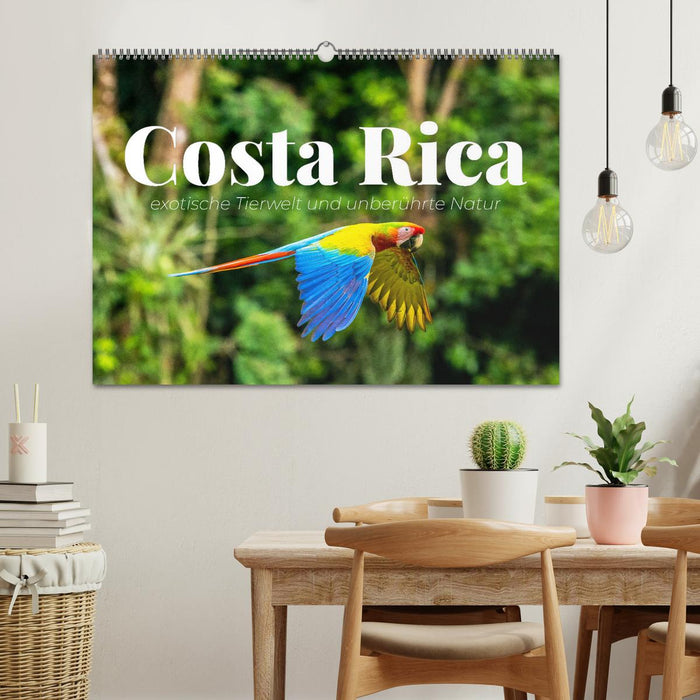 Costa Rica - exotische Tierwelt und unberührte Natur (CALVENDO Wandkalender 2025)