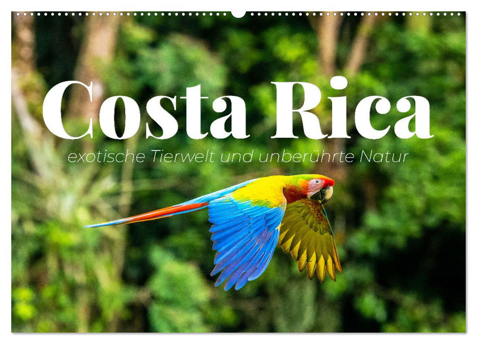 Costa Rica - exotische Tierwelt und unberührte Natur (CALVENDO Wandkalender 2025)