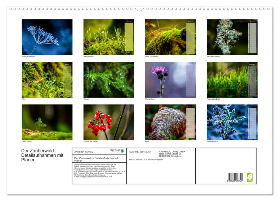 Der Zauberwald - Detailaufnahmen mit Planer (CALVENDO Wandkalender 2025)