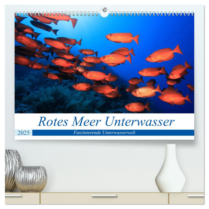 Rotes Meer Unterwasser (CALVENDO Premium Wandkalender 2025)