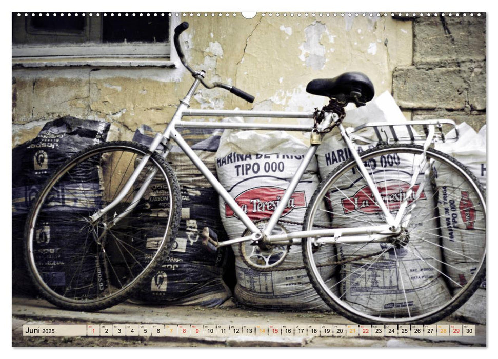 Fahrrad Alltag - Film Noir Style (CALVENDO Premium Wandkalender 2025)