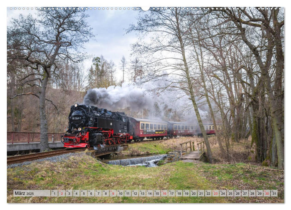 Volldampf durch den Harz (CALVENDO Premium Wandkalender 2025)