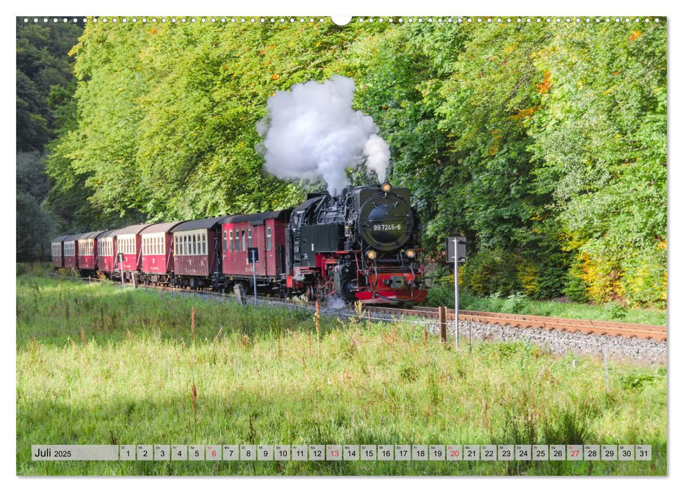 Volldampf durch den Harz (CALVENDO Premium Wandkalender 2025)