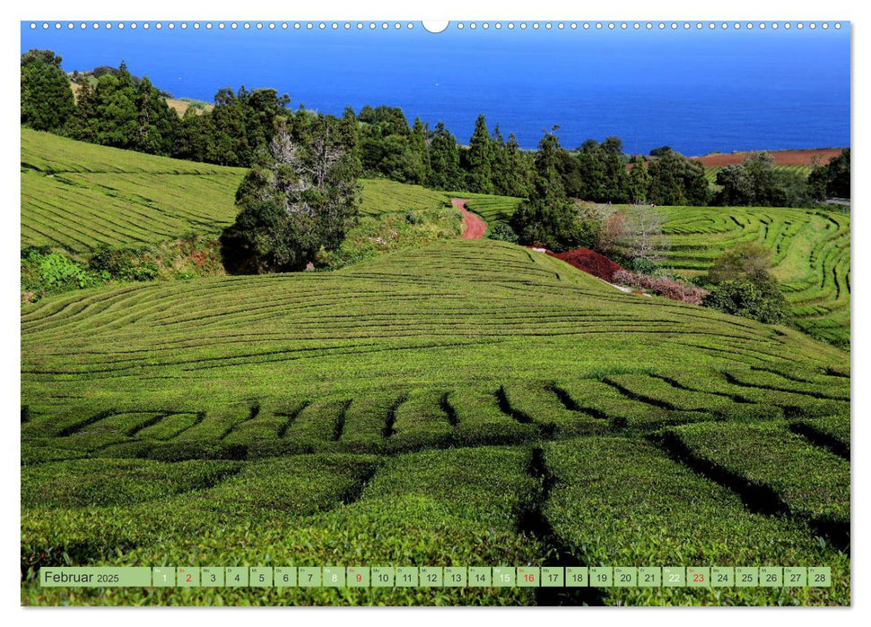 São Miguel Ein Hoch auf die Azoren (CALVENDO Wandkalender 2025)