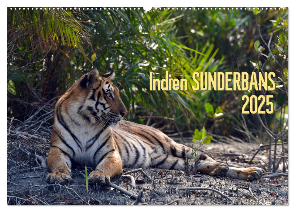 Indien Sunderbans (CALVENDO Wandkalender 2025)