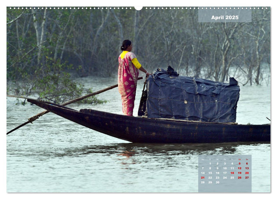 Indien Sunderbans (CALVENDO Wandkalender 2025)