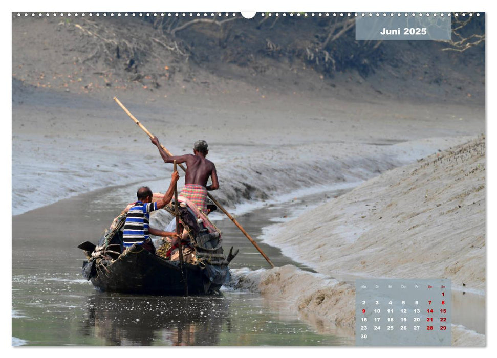 Indien Sunderbans (CALVENDO Wandkalender 2025)