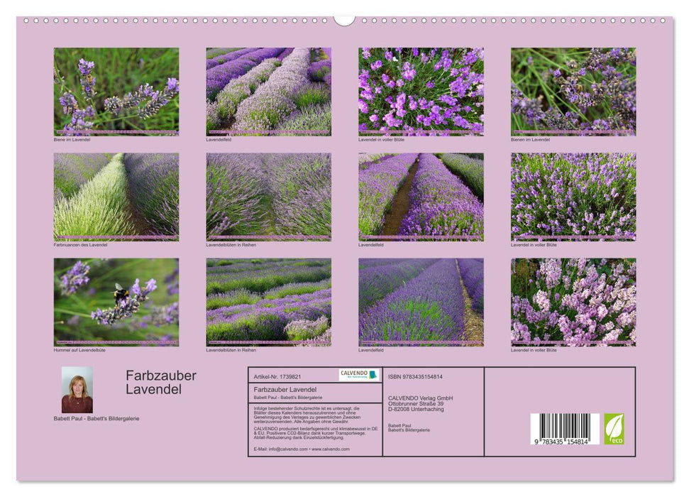 Farbzauber Lavendel (CALVENDO Premium Wandkalender 2025)