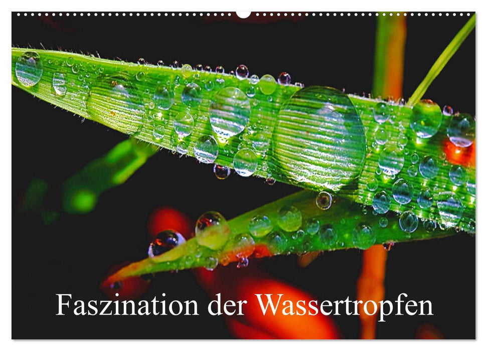 Faszination Wassertropfen (CALVENDO Wandkalender 2025)