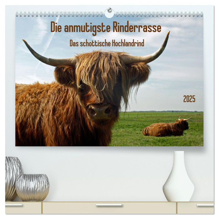 Die anmutigste Rinderrasse - Das schottische Hochlandrind (CALVENDO Premium Wandkalender 2025)