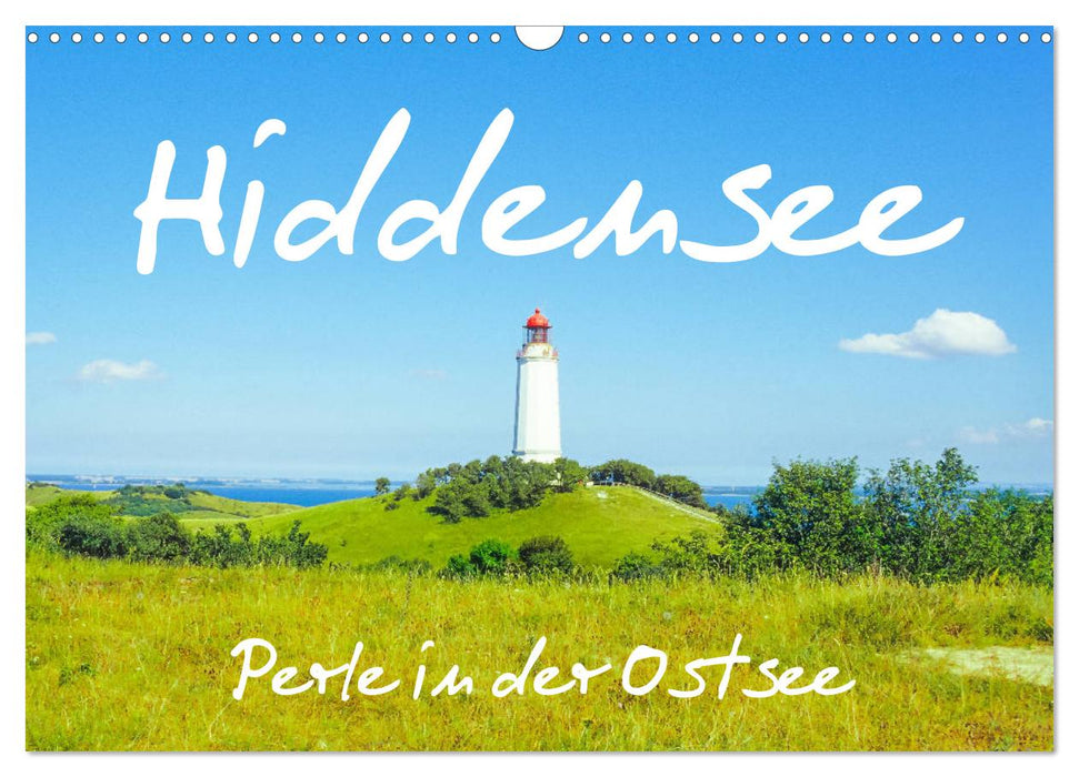 Hiddensee - Perle in der Ostsee (CALVENDO Wandkalender 2025)