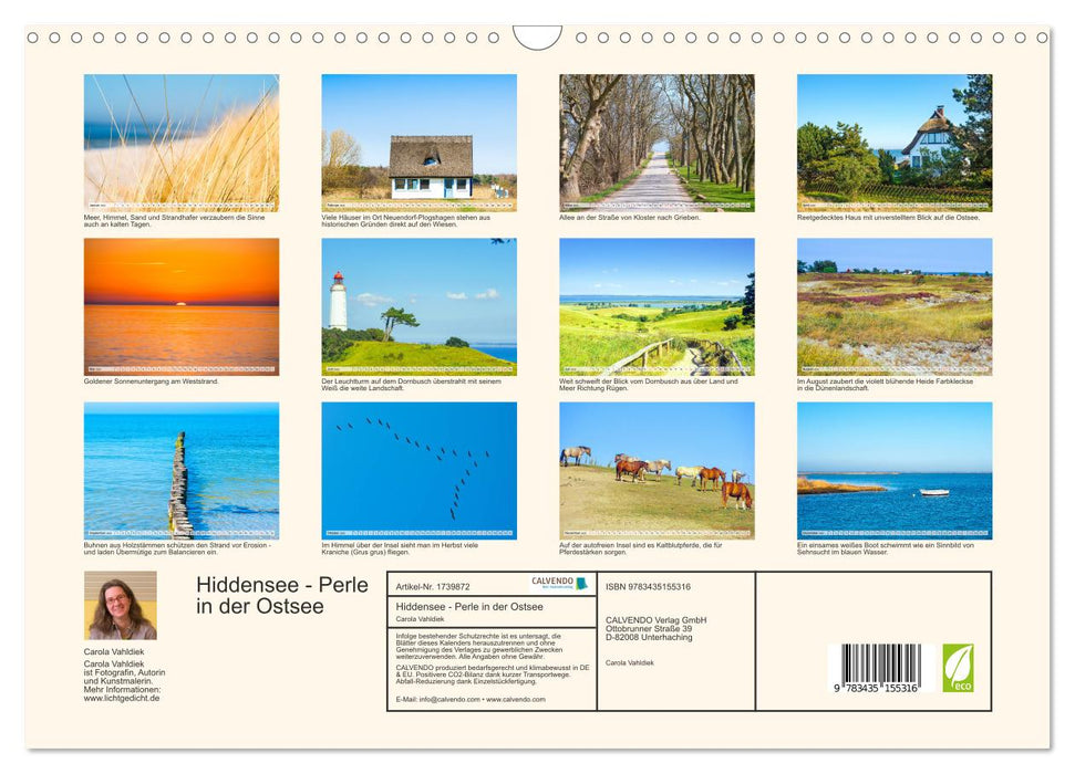 Hiddensee - Perle in der Ostsee (CALVENDO Wandkalender 2025)