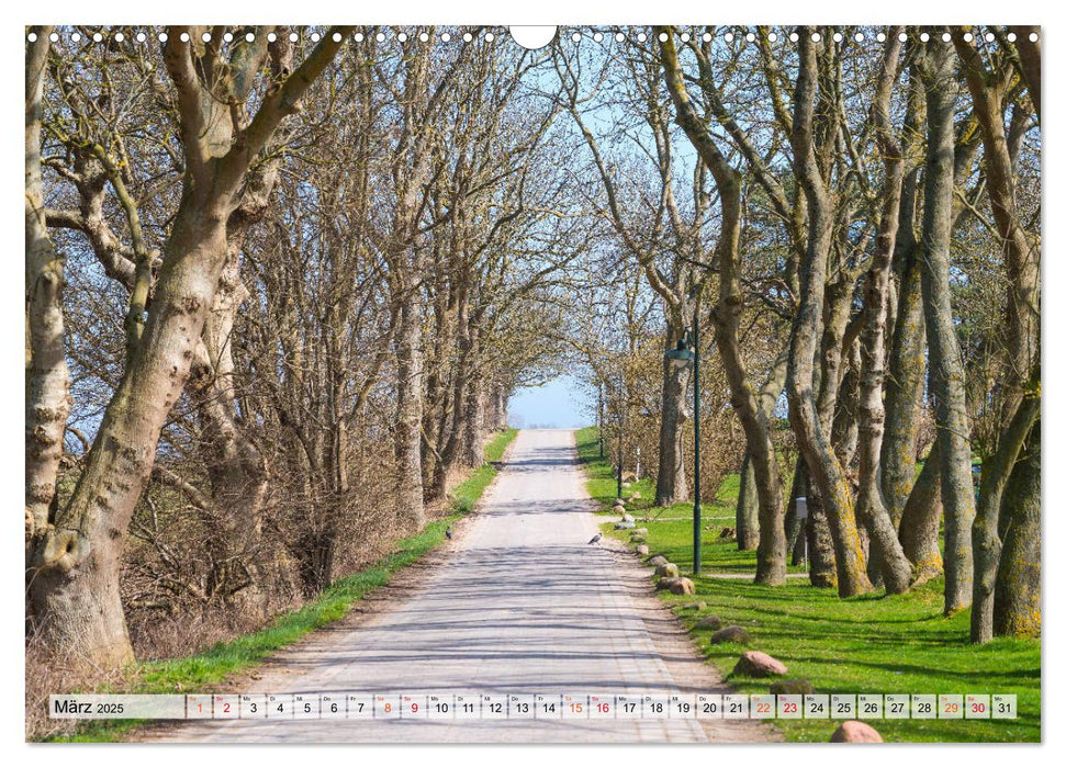 Hiddensee - Perle in der Ostsee (CALVENDO Wandkalender 2025)