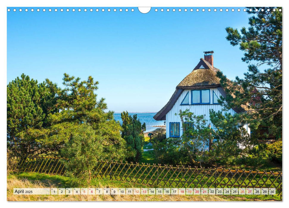 Hiddensee - Perle in der Ostsee (CALVENDO Wandkalender 2025)