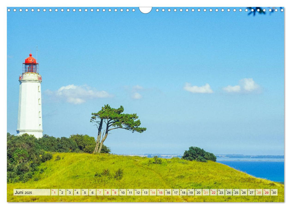 Hiddensee - Perle in der Ostsee (CALVENDO Wandkalender 2025)