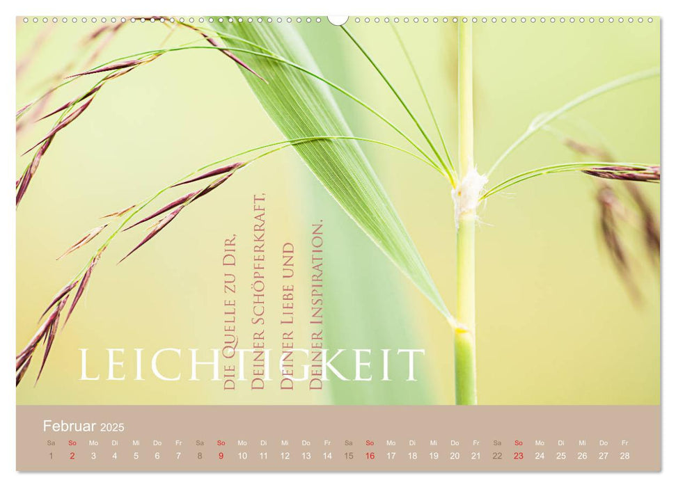 Magische Augenblicke der Inspiration (CALVENDO Premium Wandkalender 2025)