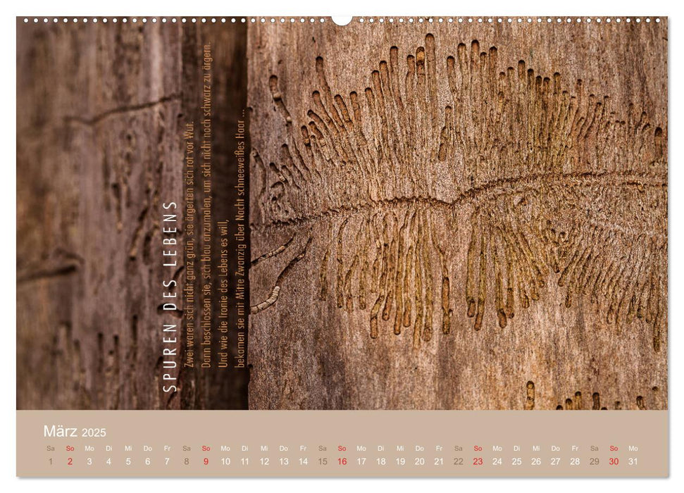 Magische Augenblicke der Inspiration (CALVENDO Premium Wandkalender 2025)