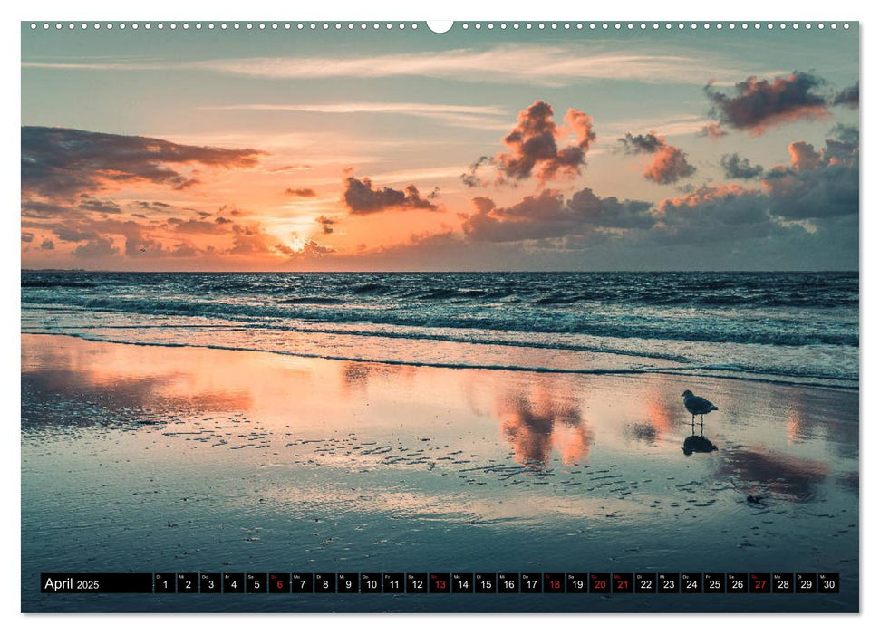 Mein Jahr auf Norderney (CALVENDO Premium Wandkalender 2025)