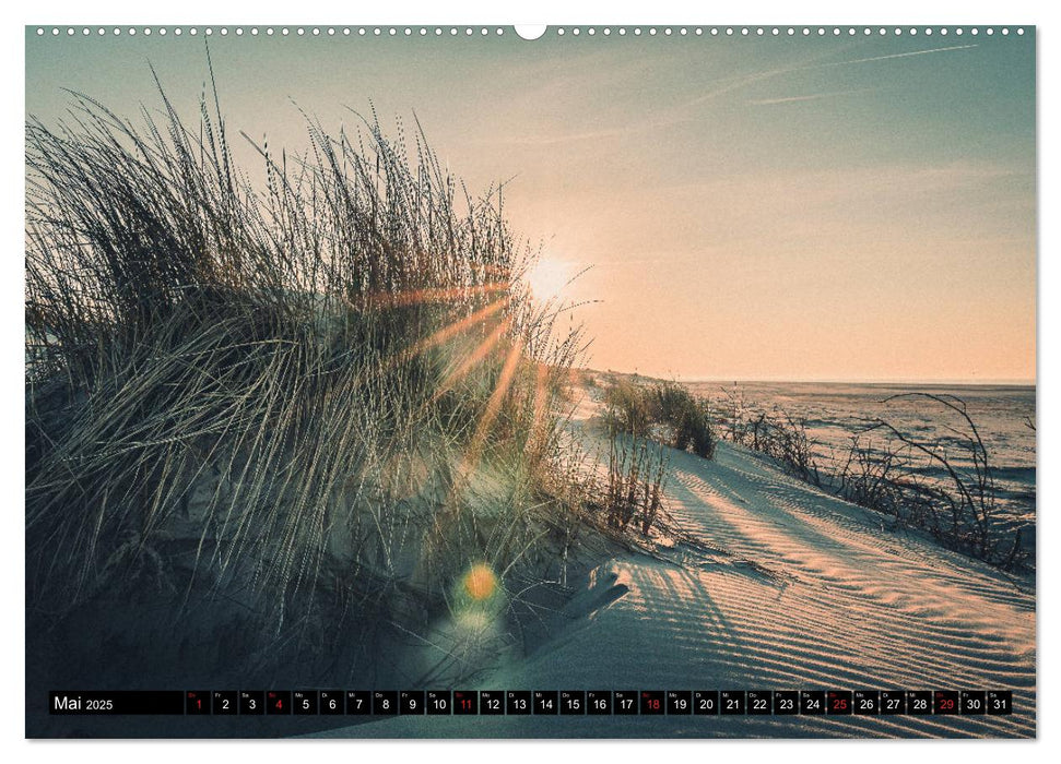 Mein Jahr auf Norderney (CALVENDO Premium Wandkalender 2025)