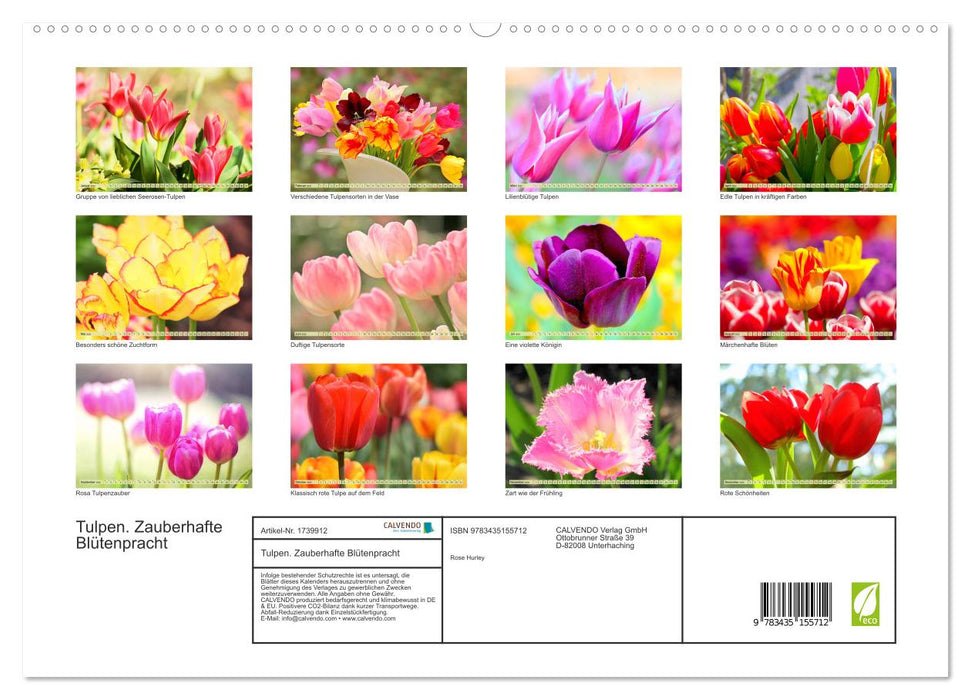 Tulpen. Zauberhafte Blütenpracht (CALVENDO Premium Wandkalender 2025)