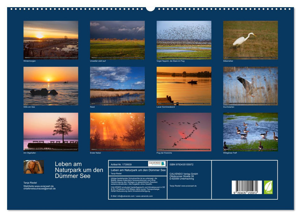 Leben am Naturpark um den Dümmer See (CALVENDO Premium Wandkalender 2025)