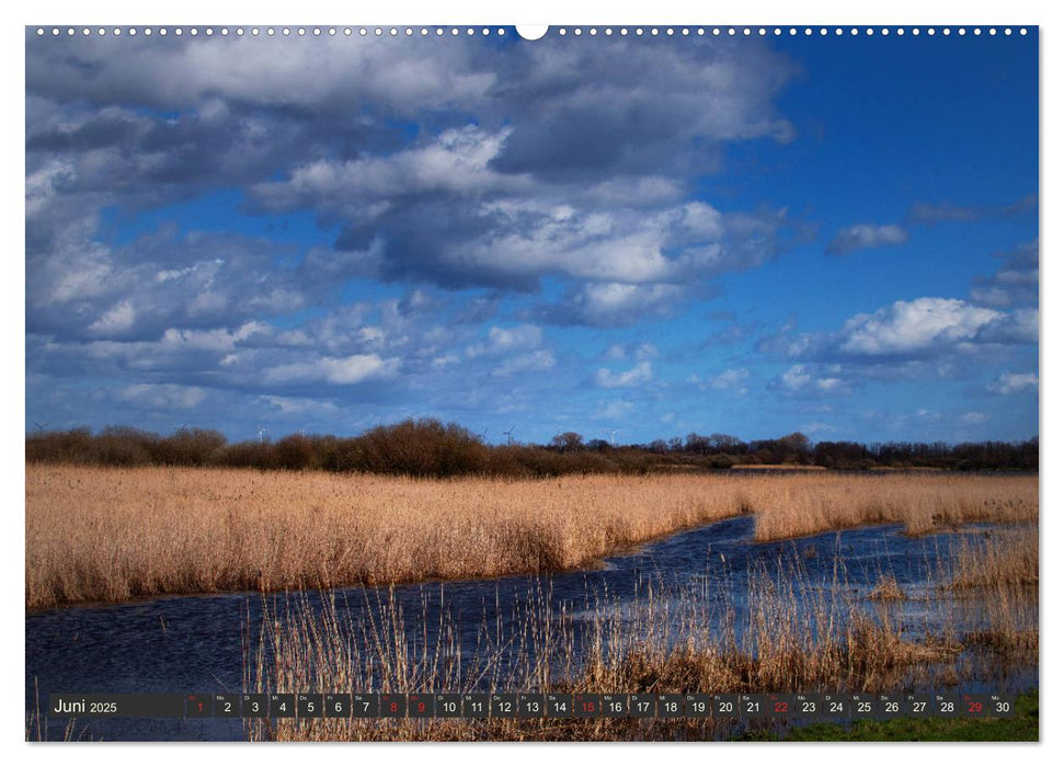 Leben am Naturpark um den Dümmer See (CALVENDO Premium Wandkalender 2025)