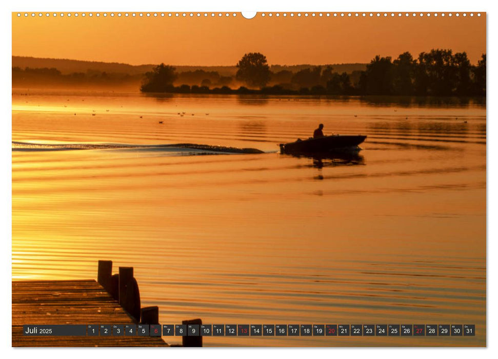 Leben am Naturpark um den Dümmer See (CALVENDO Premium Wandkalender 2025)