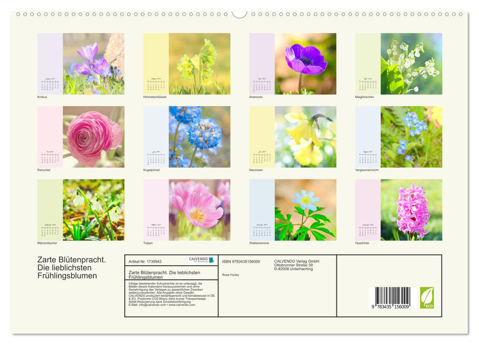 Zarte Blütenpracht. Die lieblichsten Frühlingsblumen (CALVENDO Premium Wandkalender 2025)