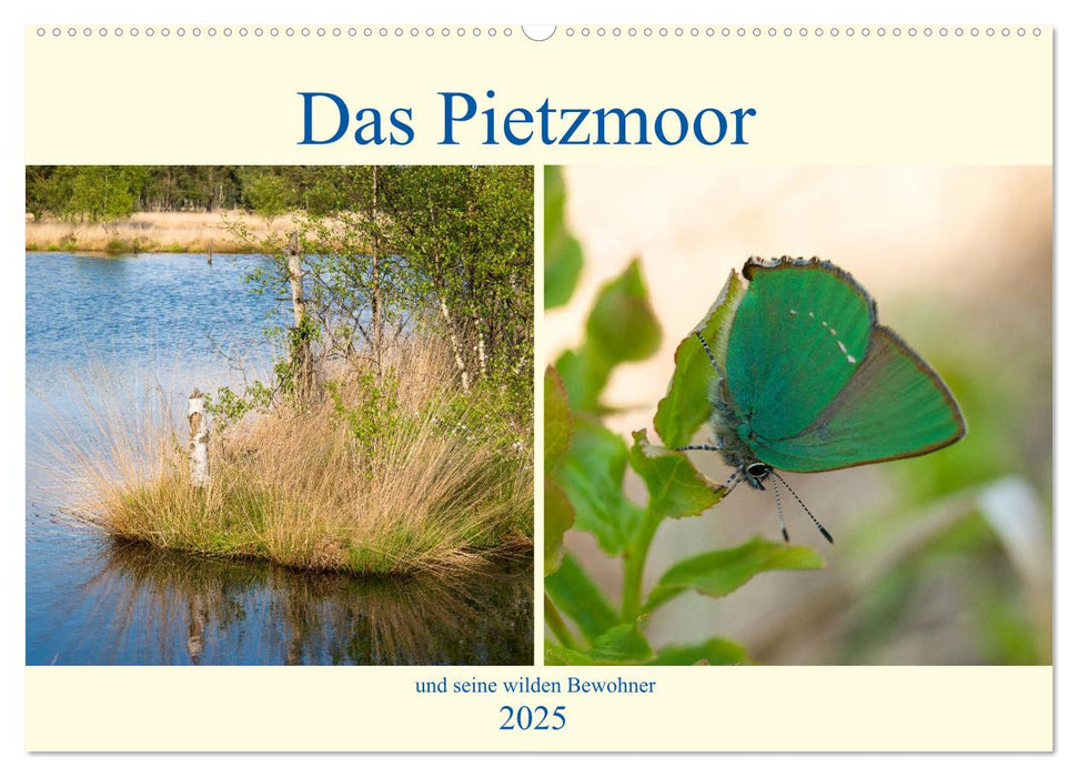 Das Pietzmoor und seine wilden Bewohner (CALVENDO Wandkalender 2025)