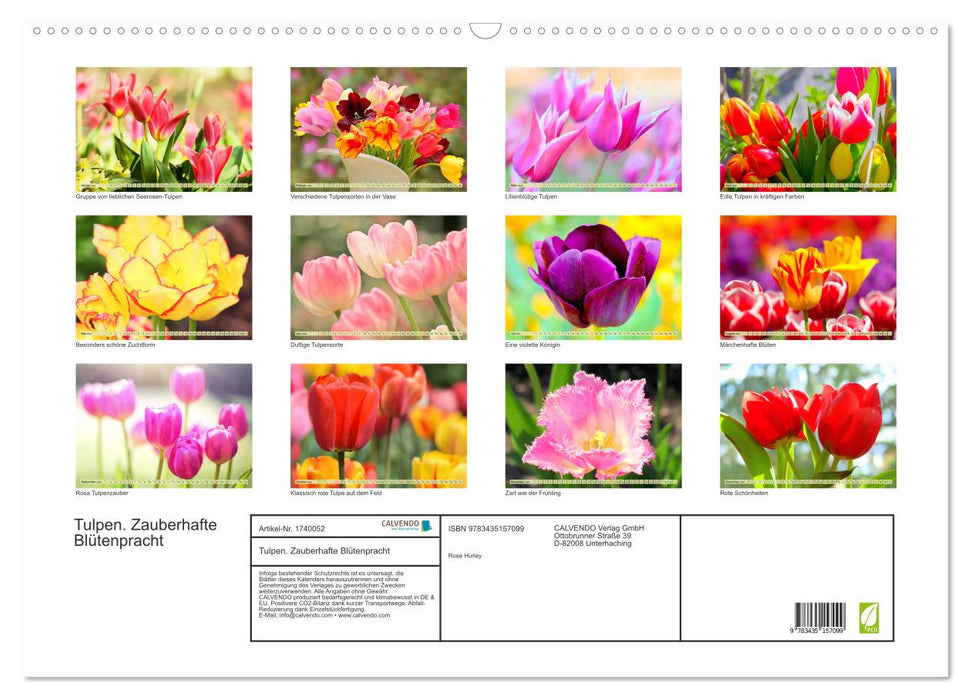 Tulpen. Zauberhafte Blütenpracht (CALVENDO Wandkalender 2025)