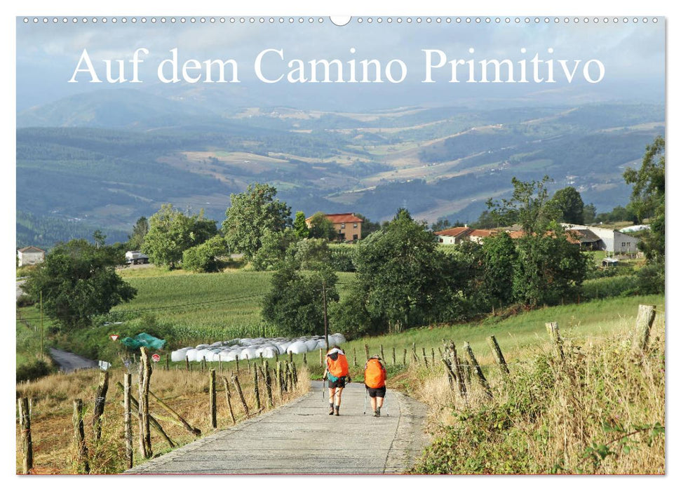 Auf dem Camino Primitivo (CALVENDO Wandkalender 2025)