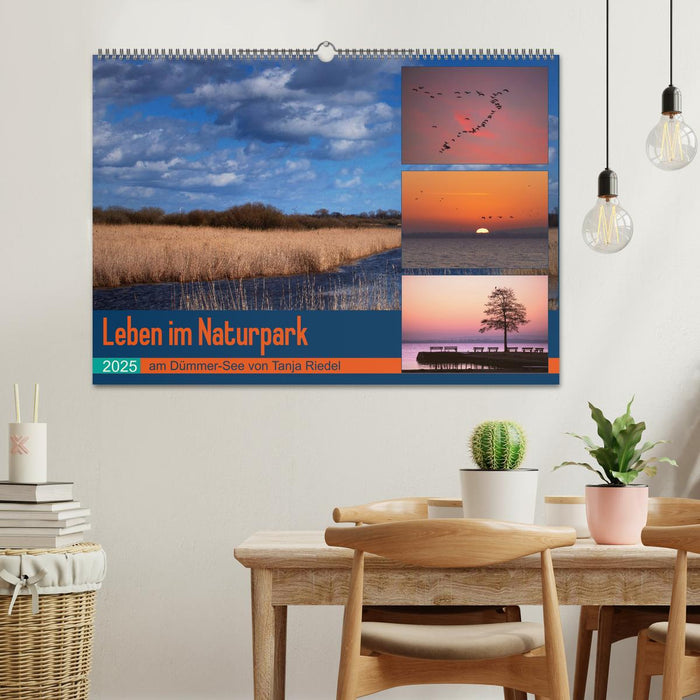 Leben am Naturpark um den Dümmer See (CALVENDO Wandkalender 2025)