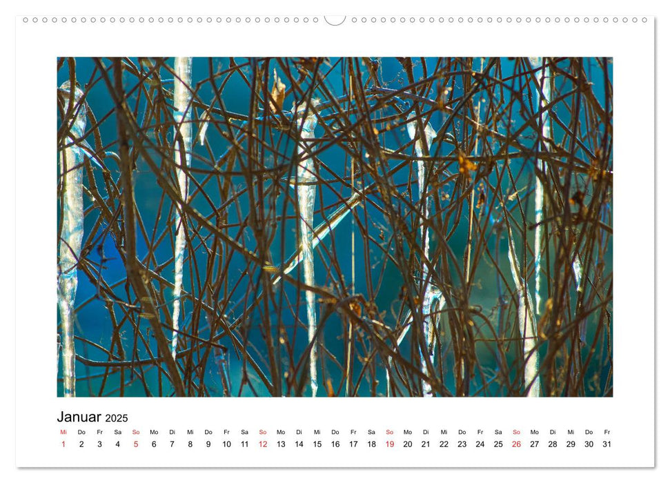 Der Wald im Laufe des Jahres (CALVENDO Wandkalender 2025)