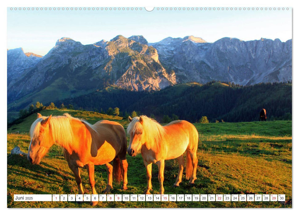 Rund um´s Tennengebirge (CALVENDO Premium Wandkalender 2025)