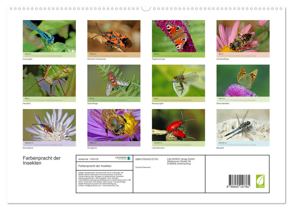 Farbenpracht der Insekten (CALVENDO Premium Wandkalender 2025)