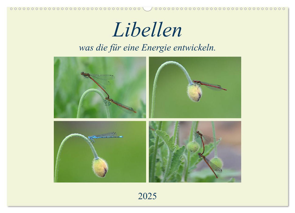 Libellen, was die für eine Energie entwickeln. (CALVENDO Wandkalender 2025)