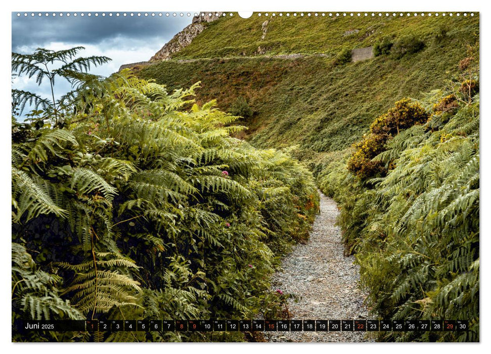 Irland-Liebe (CALVENDO Wandkalender 2025)