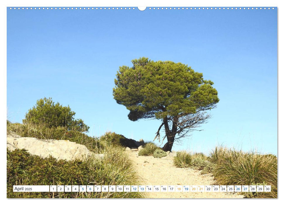 Serra de Tramuntana - Spektakuläre Bergwelt auf Mallorca (CALVENDO Wandkalender 2025)
