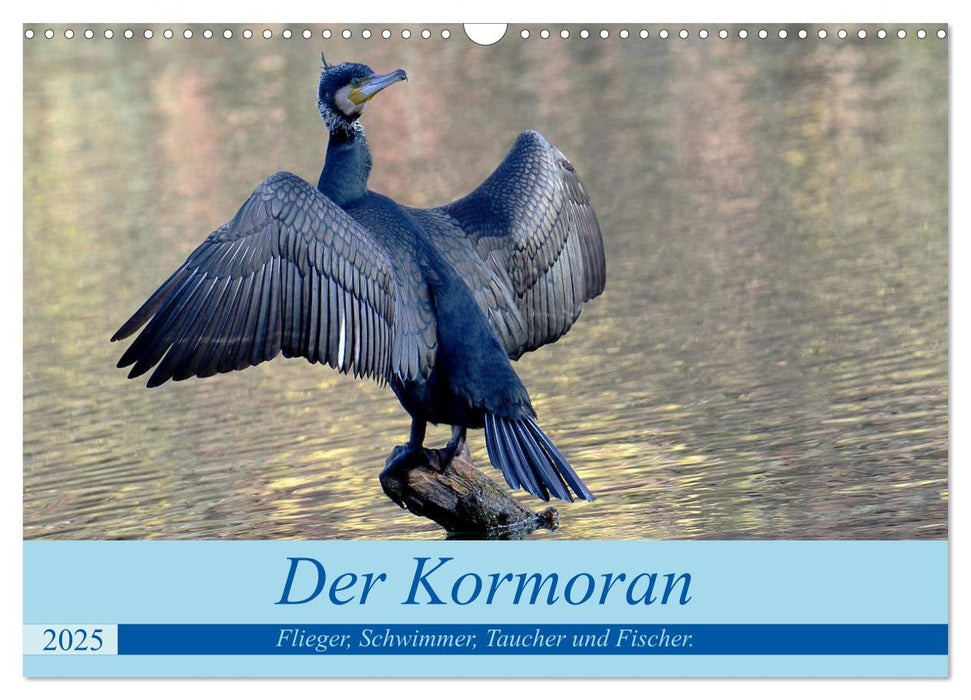 Der Kormoran, ein guter Flieger, Schwimmer, Taucher und Fischer. (CALVENDO Wandkalender 2025)