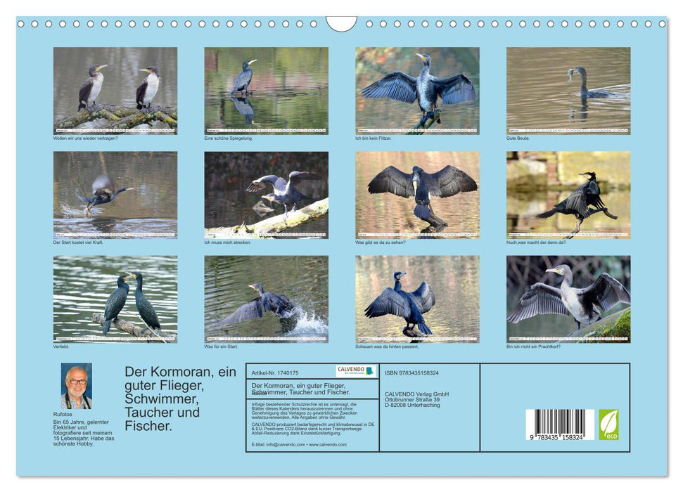 Der Kormoran, ein guter Flieger, Schwimmer, Taucher und Fischer. (CALVENDO Wandkalender 2025)