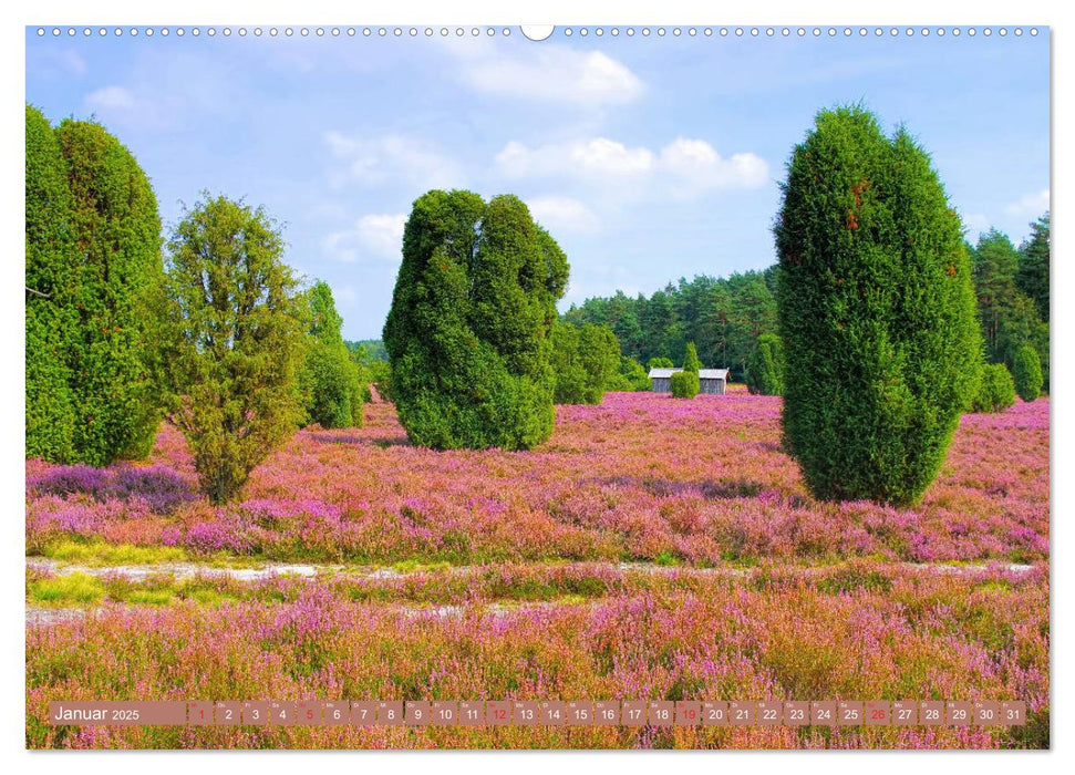 Lüneburger Heide - Wanderung rund um Wilsede und Totengrund (CALVENDO Premium Wandkalender 2025)