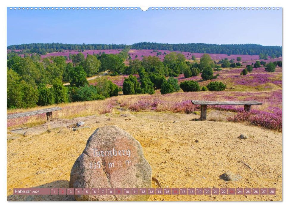 Lüneburger Heide - Wanderung rund um Wilsede und Totengrund (CALVENDO Premium Wandkalender 2025)