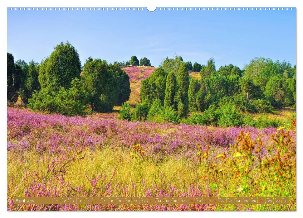 Lüneburger Heide - Wanderung rund um Wilsede und Totengrund (CALVENDO Premium Wandkalender 2025)