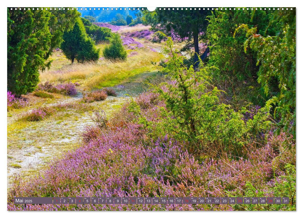 Lüneburger Heide - Wanderung rund um Wilsede und Totengrund (CALVENDO Premium Wandkalender 2025)