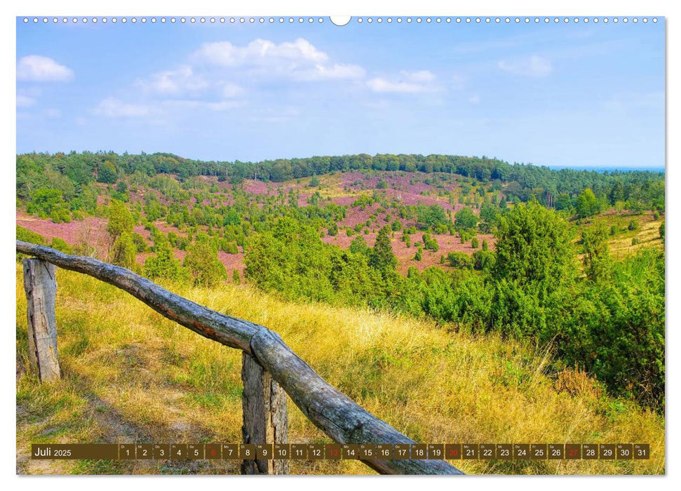 Lüneburger Heide - Wanderung rund um Wilsede und Totengrund (CALVENDO Premium Wandkalender 2025)