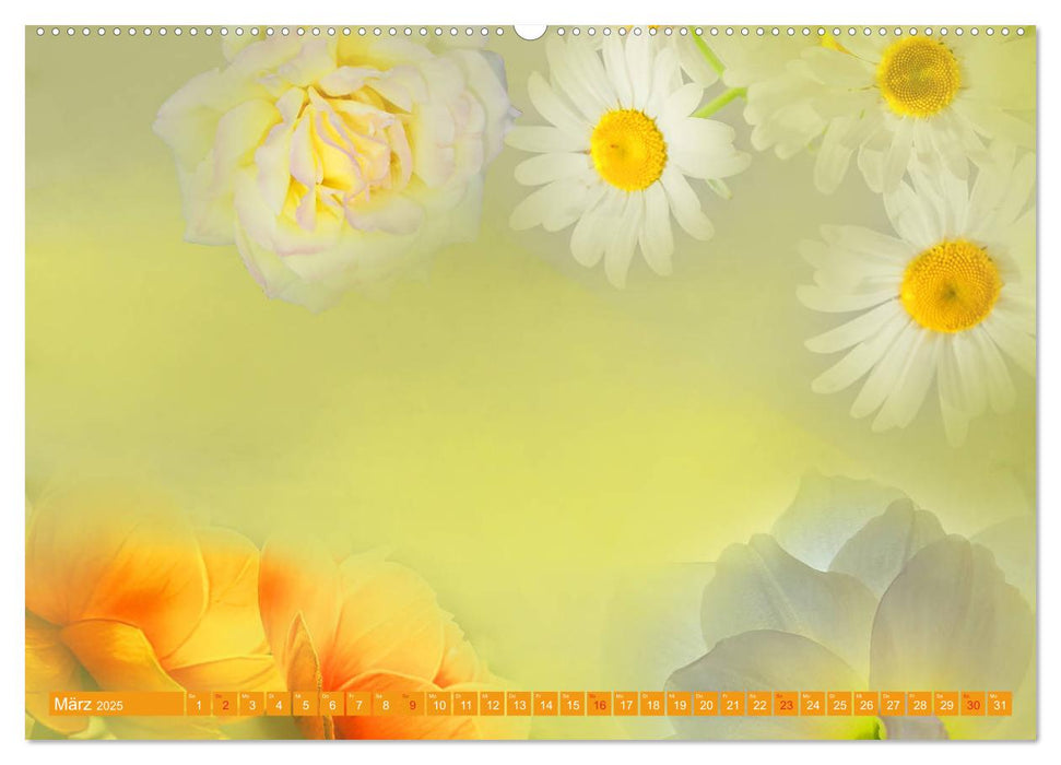 Meditation-Blumenzauber (CALVENDO Premium Wandkalender 2025)