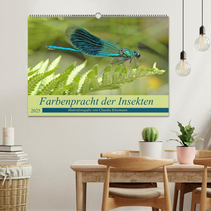 Farbenpracht der Insekten (CALVENDO Wandkalender 2025)