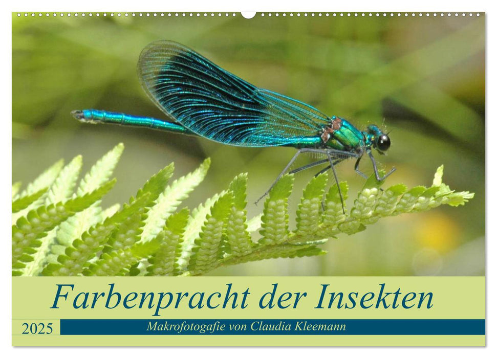 Farbenpracht der Insekten (CALVENDO Wandkalender 2025)