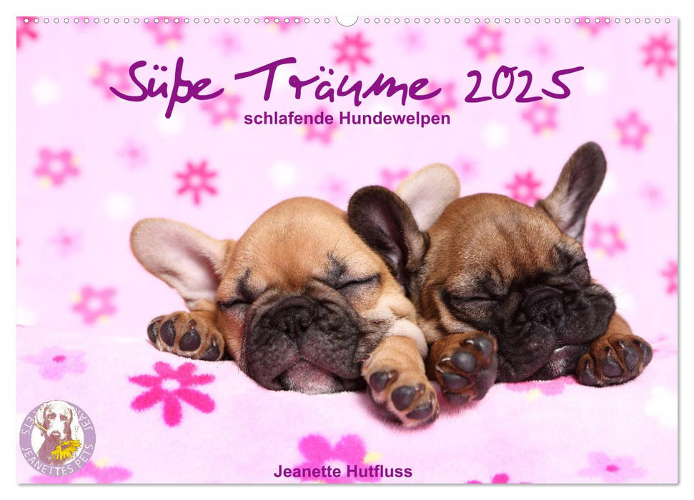 Süße Träume 2025 - schlafende Hundewelpen (CALVENDO Wandkalender 2025)